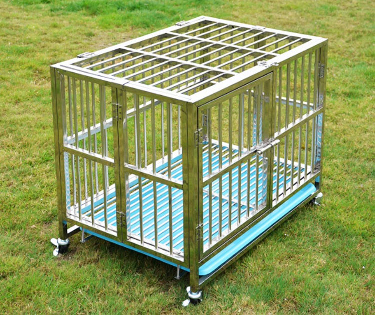 dog cage